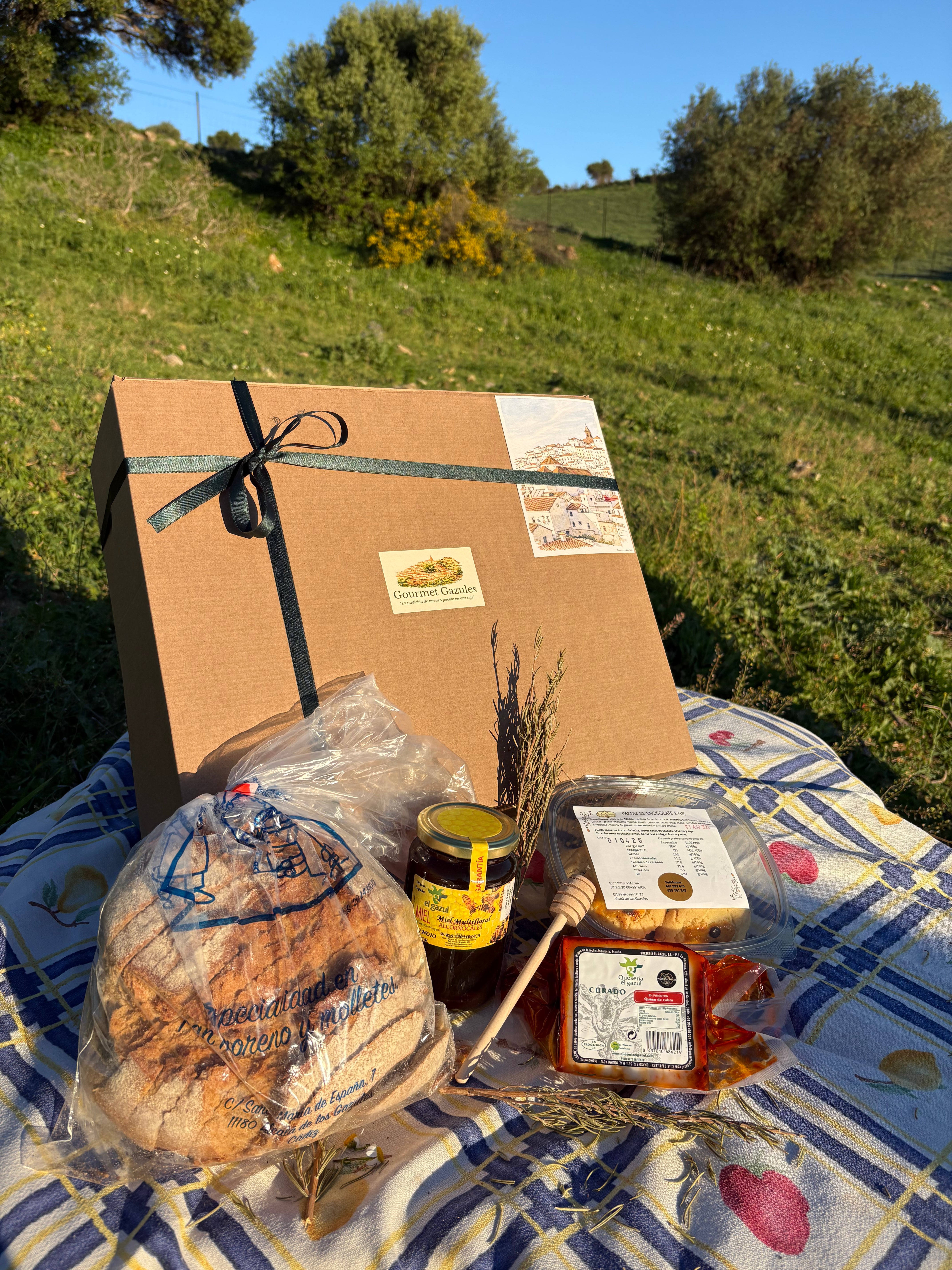 Caja El Picacho